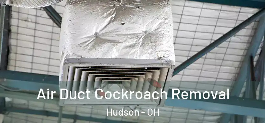Air Duct Cockroach Removal Hudson - OH