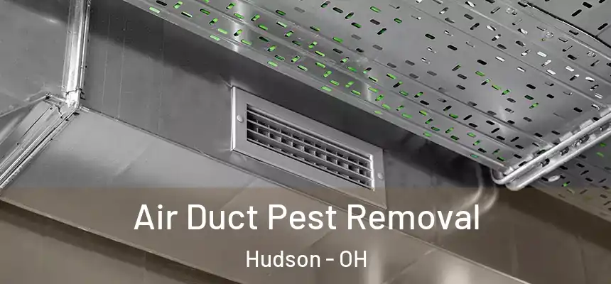  Air Duct Pest Removal Hudson - OH