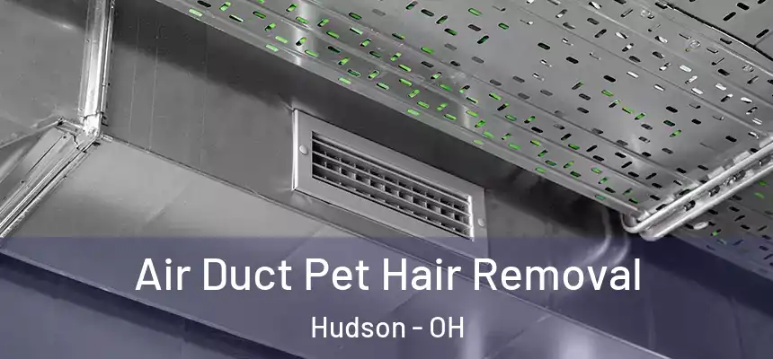 Air Duct Pet Hair Removal Hudson - OH