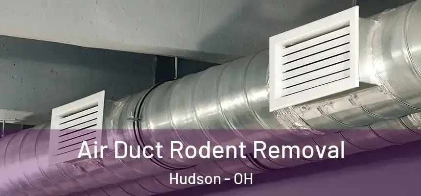 Air Duct Rodent Removal Hudson - OH