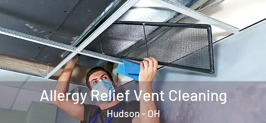  Allergy Relief Vent Cleaning Hudson - OH