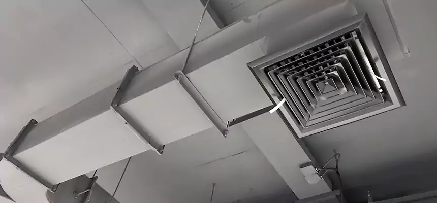 Restorative Allergy Relief Vent Cleaning – Coil, Blower & Housing Detail in Hudson