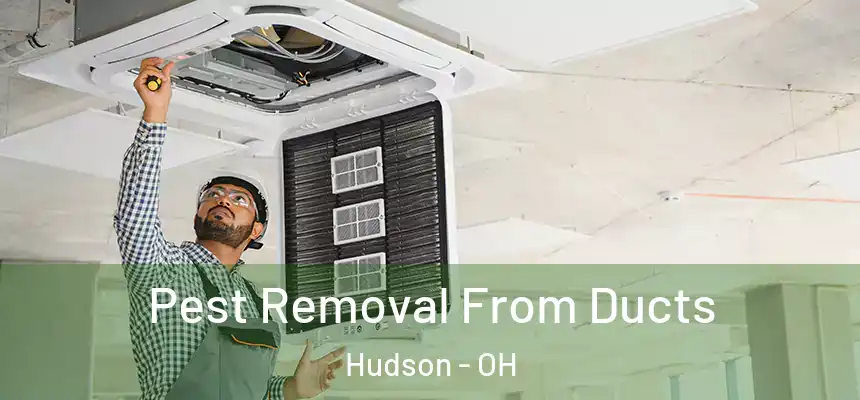  Pest Removal From Ducts Hudson - OH