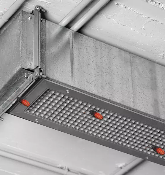 Affordable Insect Removal from Air Ducts in Hudson, OH
